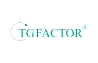 臺灣tgfactor自適應網站設計